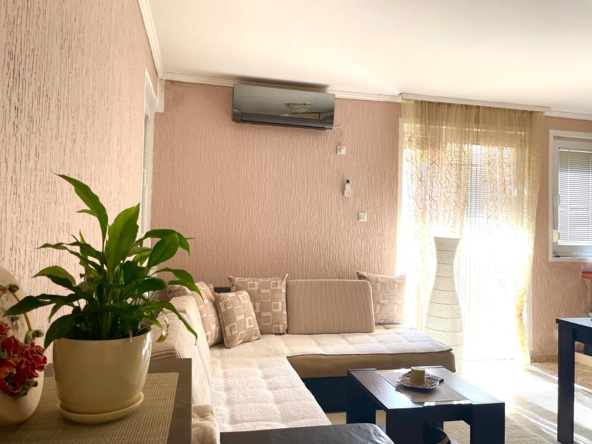 Studio Apartment For Rent In Budva Eksteriør bilde